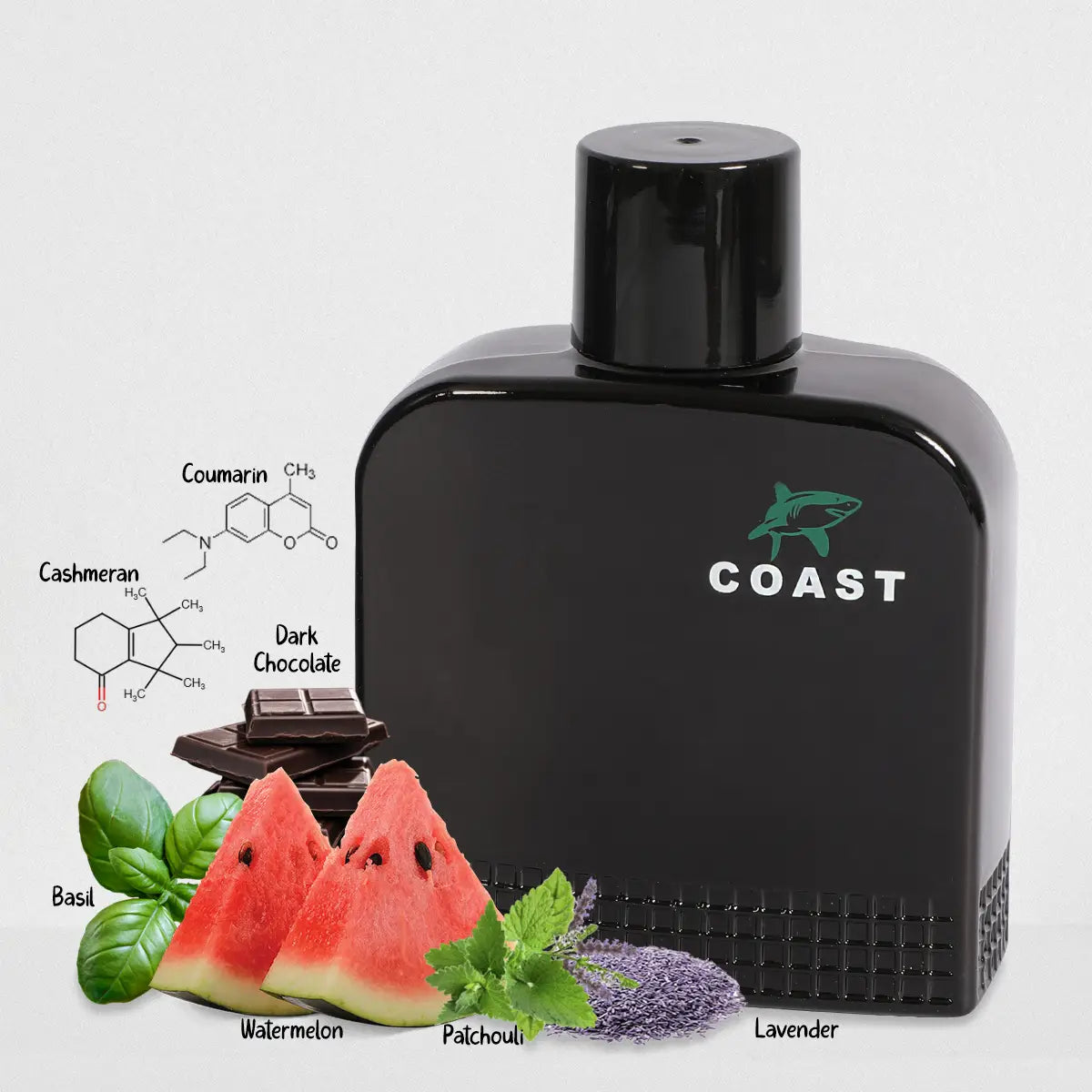 Coast Black Spray Cologne Eau De Toilette For Men