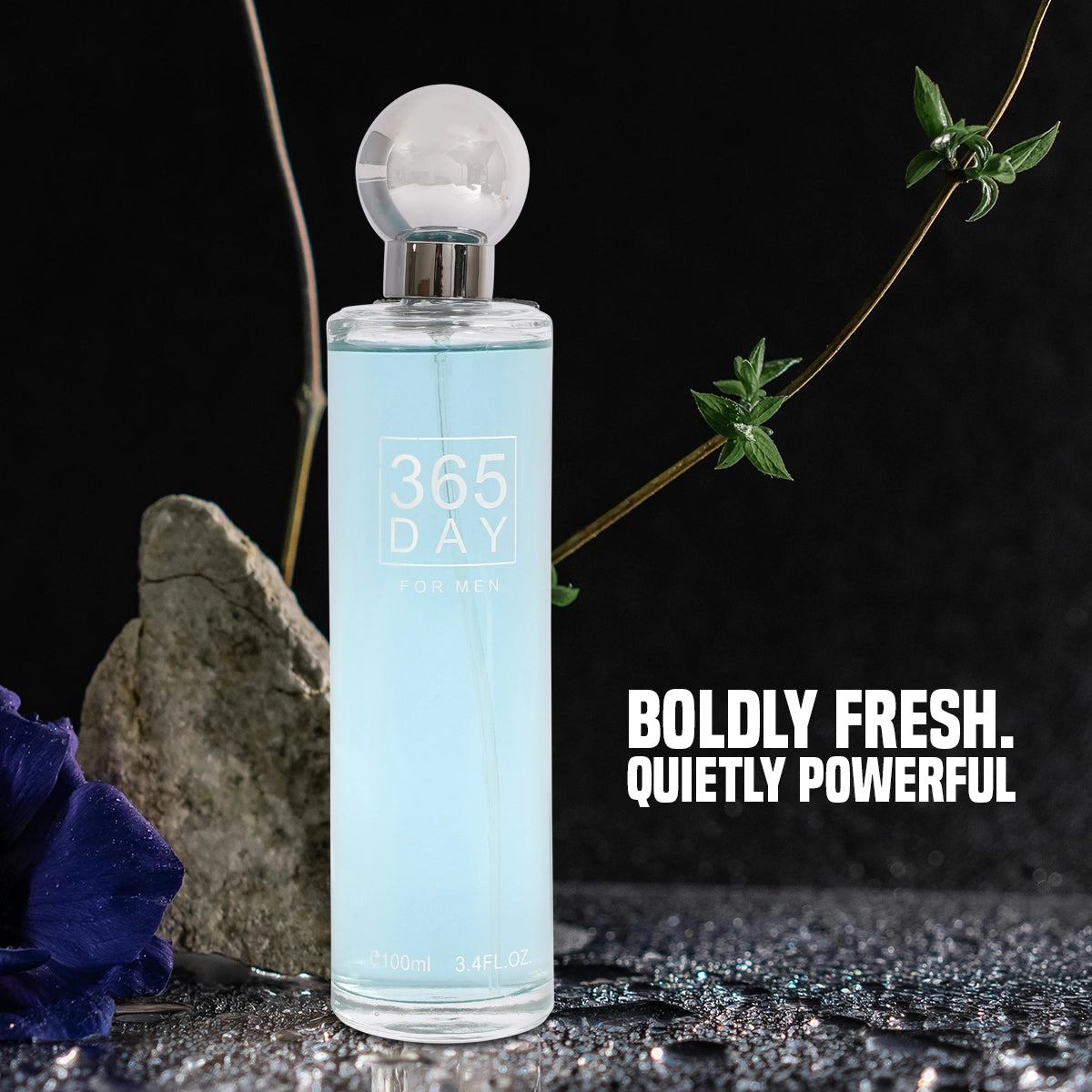 365 Day Spray Cologne Eau De Toilette For Men