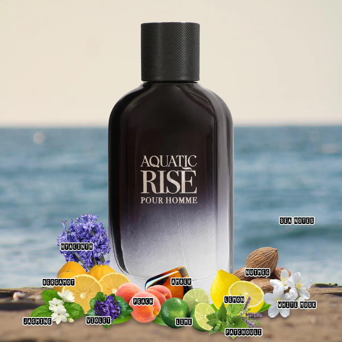 Aquatic Rise Pour Homme 100ml Perfume For Men