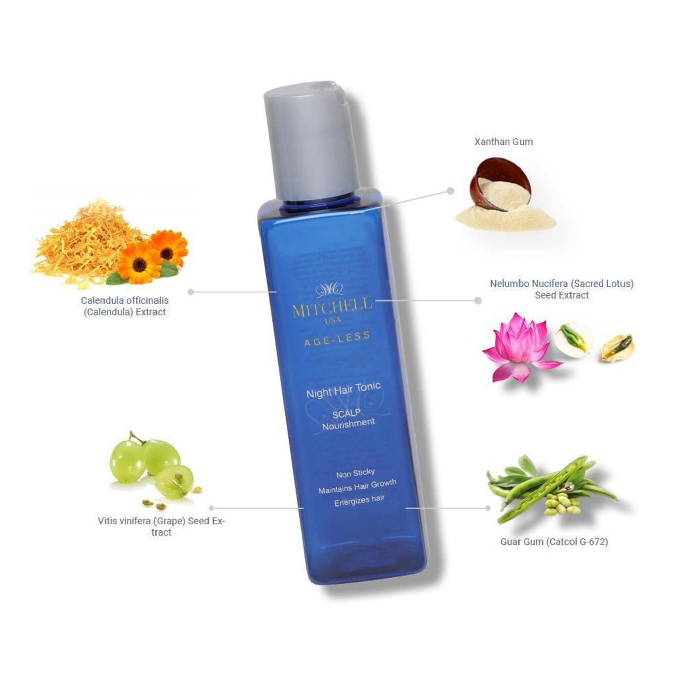 Mitchell Brands Ageless Day + Night Hair Tonic - SCALP Nourishment + SHAFT Vitalization-(I)
